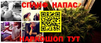 кокс Кингисепп