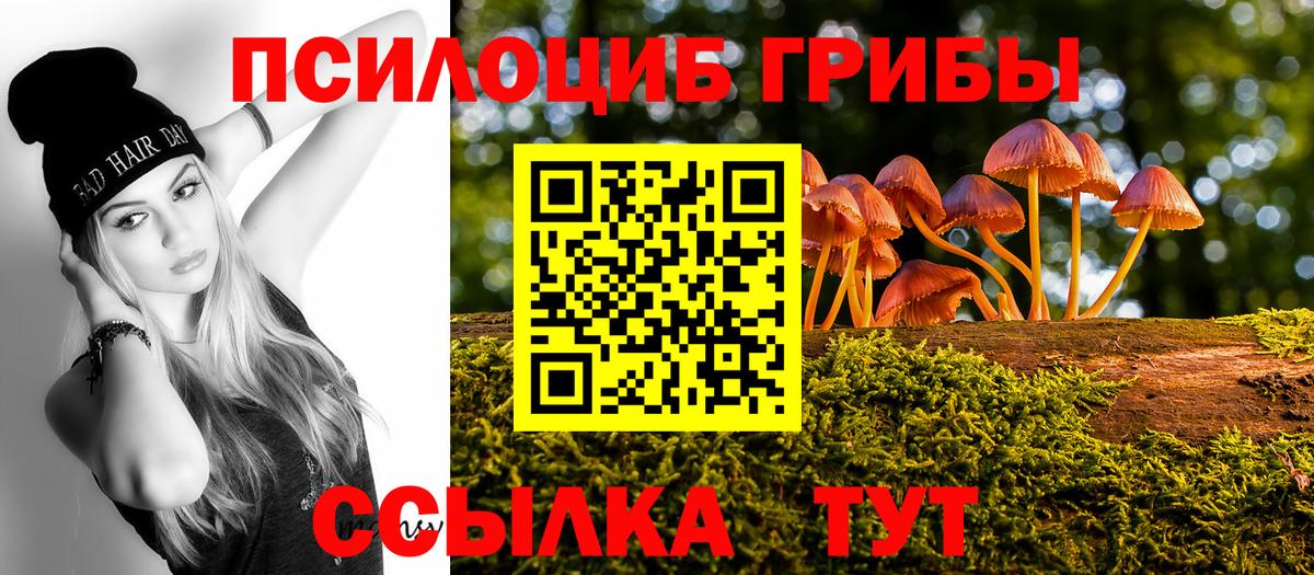 Псилоцибиновые грибы мицелий Выборг