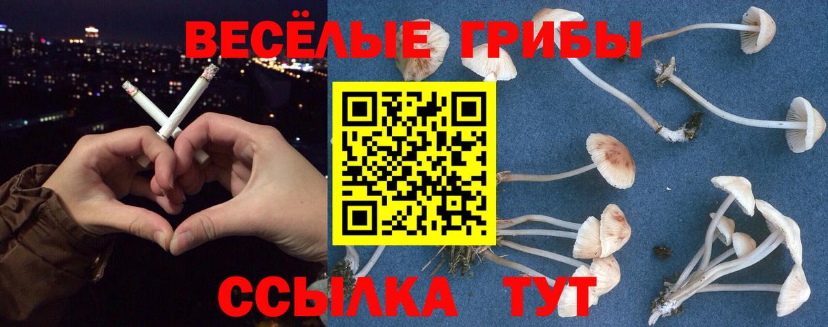 Галлюциногенные грибы прущие грибы  Вход с VPN  Псилоцибиновые грибы Psilocybine cubensis  Выборг 